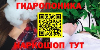 индика Нальчик