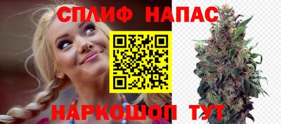 Альфа ПВП Новодвинск