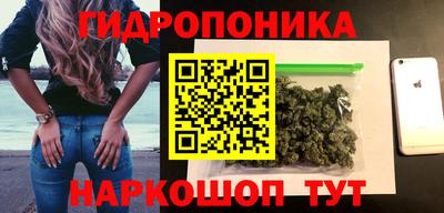 индика Нальчик
