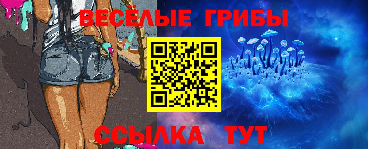 Ставрополь  Псилоцибиновые грибы мухоморы  Вход с VPN 