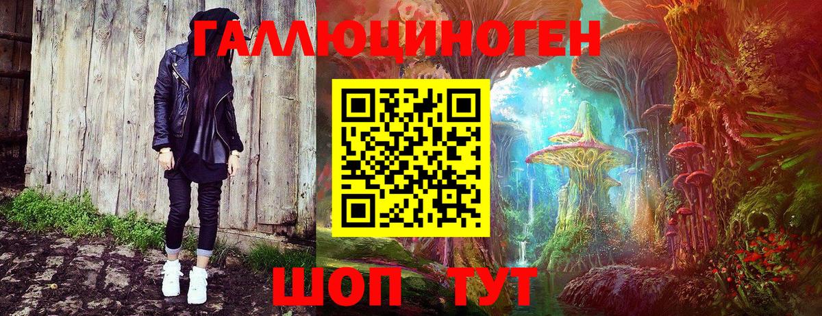 Галлюциногенные грибы Psilocybe Ставрополь
